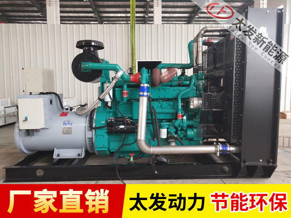 300KW天然氣發(fā)電機(jī)組