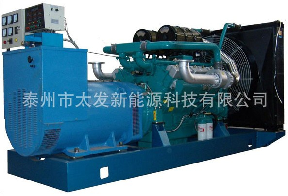 通柴柴油發(fā)電機(jī)